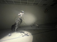 이방인의 소리, 세상을 깨우다 [작가의 아틀리에]