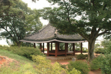 걷고 싶은 역사문화유산길 광주광역시 영산강 Y프로젝트 본격화