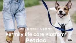 펫닥, ‘벳화점’ 수의 전문 종합 플랫폼으로 탈바꿈