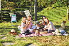 거부할 수 없는 천년 차의 유혹 보성다향대축제…김철우 보성군수 기아챔피언스필드 뜬다