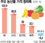 도매가 인하에 960억 퍼부어도…사과 80%·배 103% 폭등