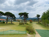 방장산 바라보며 소나무 그늘 아래서 라운드 한 판…고창스포츠타운 파크골프장[주목이구장]