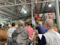 [무너지는 먹거리 생태계]소 1마리당 평균 143만원 적자…동네서 벌써 축사 3곳 폐업