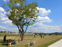 권익위, 영주 파크골프장 갈등 조정안 마련…불법 파크골프장 해결 모델