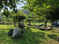 나무농원 속에 숨겨진 파크골프장…성주 하구산농원파크골프장[주목이구장]