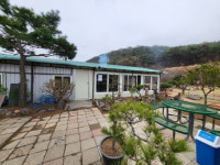 나무농원 속에 숨겨진 파크골프장…성주 하구산농원파크골프장[주목이구장]