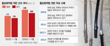 서울총포，건강원 | [단독] 무허가 일본검 판친다…총포법 허점에 시민들 '덜덜'