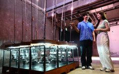 2024 파라다이스 아트랩 페스티벌, 장충 개막