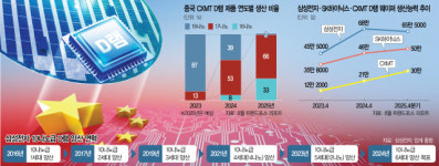 중국 D램, 내년 글로벌 점유율 10% 넘는다…삼성·SK 위협 [biz-플러스]