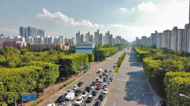 푸른빛 물든 송내대로 가로수길 산림청 평가 으뜸 가로수길