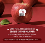 프리미엄 엔비 햇사과, 온라인 예약판매 시작 정품 엔비를 찾으세요!