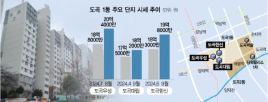 만년 2등 도곡1동, 재건축 추진으로 집값 꿈틀
