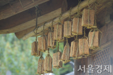 “가장 이상적인 조미료” 한국 장 문화, 인류무형유산 된다.