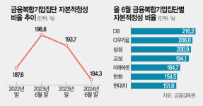 금융복합기업집단 자본적정성 역대 최저