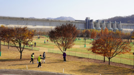 ‘만추를 즐기며 굿샷’…연천 재인폭포파크골프장 확장 조성 기념 대회 열려