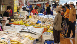 우리 생선만 가능…회원들에 ‘짬짜미’ 강요한 노량진시장 상우회, 결국