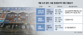 서울 준공업지역 개발에…도시 유물 유통상가 정비 시동