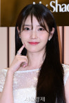 응원봉 든 손 따뜻하게 아이유, 尹 탄핵 집회 참가자 위해 대규모 선결제