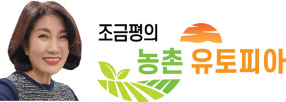 소멸지역에 새싹 틔우는 농촌유토피아 공동체[조금평의 농촌유토피아]