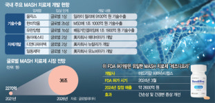 K바이오, MASH 치료제 개발·기술수출 투트랙…빅파마와 정면승부