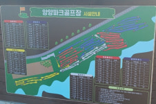 양양에서 청년들은 서핑. 시니어는? 파크골프!…양양 남대천파크골프장(주목이구장)