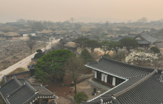 코앞까지 다가온 산불 연기 자욱한 안동 하회마을