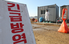 충남 아산 소재 2만8000마리 규모 토종닭 농장서 고병원성 AI 확인