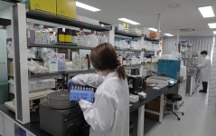 박셀바이오, 수도권 R&D 허브 개소… 이중항체 신약 개발 박차