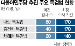 檢 인력 대부분 3특검 투입…수사 마비에 '식물검찰' 우려