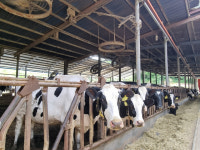 경남도, 폭염 가축 폐사 등 피해 최소화에 방점