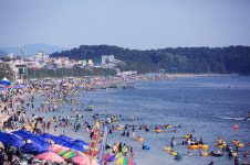[보령·태안톡톡]충남 서해안해수욕장에서 여름더위 날려보세요