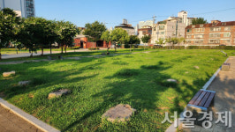 백제 풍납토성이 고대 로마·아테네에 버금간다고? [최수문 선임기자의 문화수도에서]