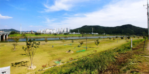 금호강변에 들어선 파크골프 명소… 대구 다사세천파크골프장[주목이구장]