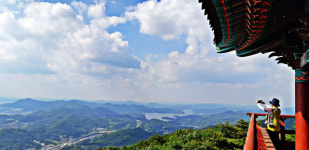 도심과 자연의 공존…138㎞ 숲길이 건네는 일상 속 쉼표