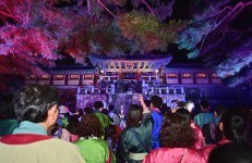 2025 세계유산축전 빛으로 쓰는 이야기 IN 불국사