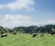 “제주를 동물복지 혁신기업 메카로”…축산업 혁신 이끄는 제주 기업인들