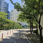 단지가 리조트 수준…남산 정취에 광화문15분·여의도·강남30분[박형윤의 힘숨찐 아파트]