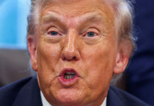 트럼프 GM·포드 회장, 트럭 관세 감사 인사…축산 농가도 내가 살려