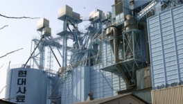 매각 앞두고 최대주주 잇단 가압류…현대사료에 무슨 일이?[이런국장 저런주식]