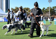킁킁히어로! 최고의 탐지견을 찾아라~