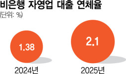 개인사업자 비은행 대출 연체율 2% 넘어서