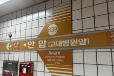 6호선 안암역서 가스 유출…무정차 통과 종료 “인명 피해 없어”