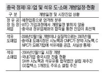 국내 정유사 “中 도매시장 잡아라”