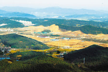 경북道 산단 7곳 443만평 개발