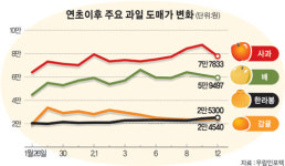 설 과일 도매시장에선 절반값