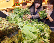 제철 만난 봄 산채나물