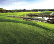 [제주 세인트포 골프&리조트] 여기，골프장 맞아？