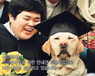 삼성화재·삼성그룹 광고，광고윤리대상 수상 영예
