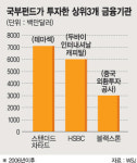 “국부펀드들 금융주로 몰린다”