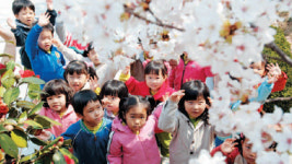 현대자동차 ‘2008 벚꽃 한가족 마당’